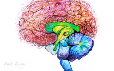 Una visión particular del cerebro y su maduración